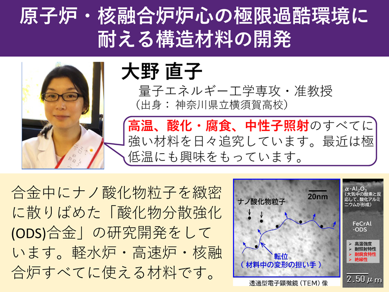 大野直子 原子炉・核融合炉炉心の極限過酷環境に耐える構造材料の開発